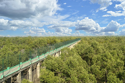 Sundarban Travels Day Tour