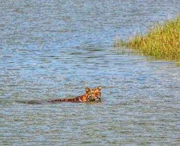 sundarban travels